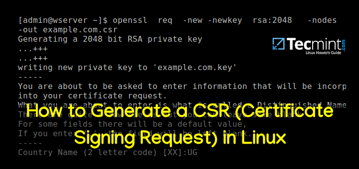 Generate a public key from a private key python server